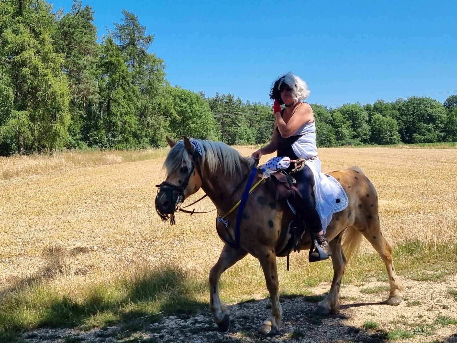 PHOTO-2023-06-28-19-11-42 10